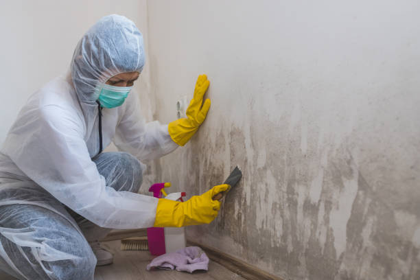 Forensic Mold Investigation in Whitesboro, AL